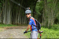 bamboo forest moutain bike tour forest 
 - Costa Rica