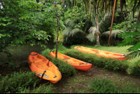 evergreen lodge kayaks 
 - Costa Rica