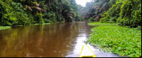 tortuguero national park attraction canoe canal 
 - Costa Rica