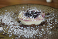        raw blueberry cheesecake luvburger 
  - Costa Rica