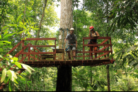 flight of the toucan tree climb combo tour platform 
 - Costa Rica