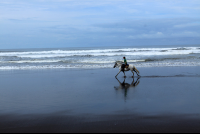 discovery horseback tour the beach 
 - Costa Rica