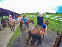 Stable Horseback Ride Western Side Of Rincon De La Vieja Volcano
 - Costa Rica