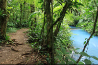 rio celeste trail river 
 - Costa Rica