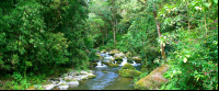 San Gerardo De Dota Savegre River
 - Costa Rica