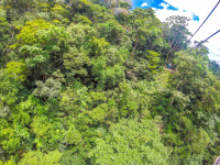 Forest View And Cable Going Into The Platform Tizati Zip Line Rincon De La Vieja
 - Costa Rica