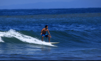 jaco surf lesson surfing 
 - Costa Rica
