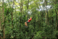 evergreen lodge canopy tour 
 - Costa Rica