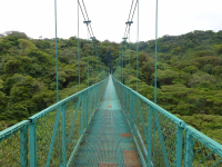 Selvetura Hanging Bridges
 - Costa Rica