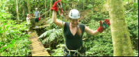 jungle adventure bridge 
 - Costa Rica