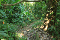 kekoldi reserve attraction trail 
 - Costa Rica
