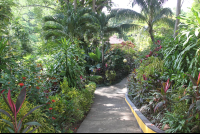 garden walkways hotel belvedere 
 - Costa Rica