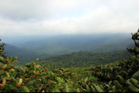 monetverde cloud attraction continental divide  
 - Costa Rica