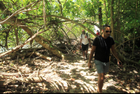 cahuita national park snorkeling hiking tour hiking 
 - Costa Rica