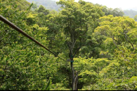 chiclets canopy tour thcable 
 - Costa Rica