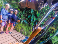 Arrival At The First Platform Inside The Canyon At The White River Canyon Zip Line Rincon De La Vieja
 - Costa Rica