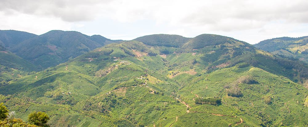 mountain view dota 
 - Costa Rica