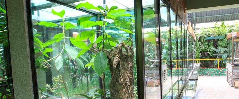        monteverde serpentarium enclosures 
  - Costa Rica
