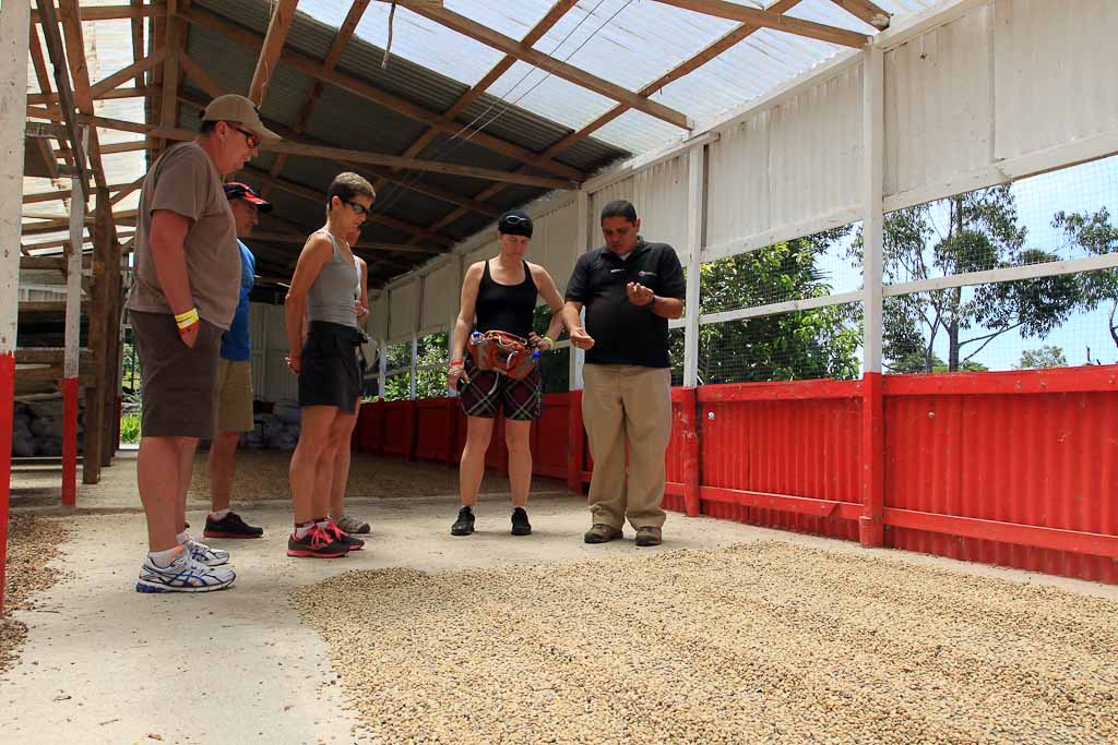 helaconia ranch learning about coffee 
 - Costa Rica