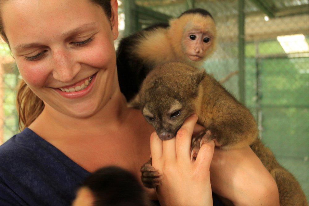       osa animal sanctuary tour page playing around 
  - Costa Rica
