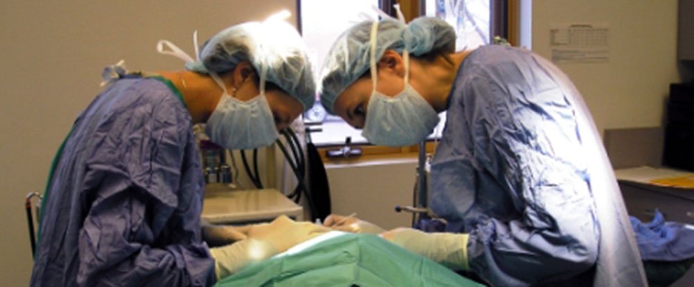 vet surgery
 - Costa Rica