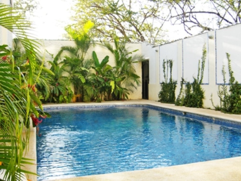 pool greenery
 - Costa Rica