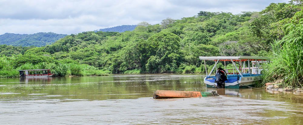 tarcoles river overview 
 - Costa Rica