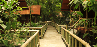 Anhinga Lodge - Costa Rica