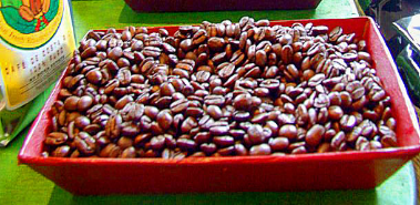 Doka Estate Coffee Farm - Costa Rica