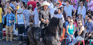 Horse Parades - Costa Rica