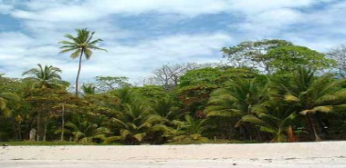 Beachfront Property - Costa Rica