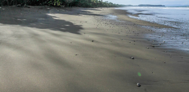 Playa Hermosa-Dominical - Costa Rica